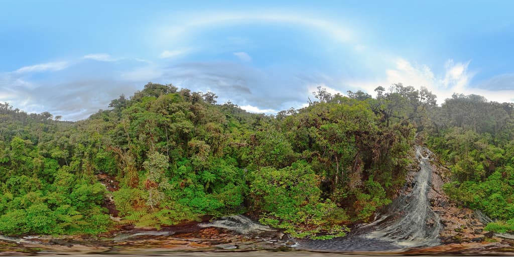 Andean Amazon forest