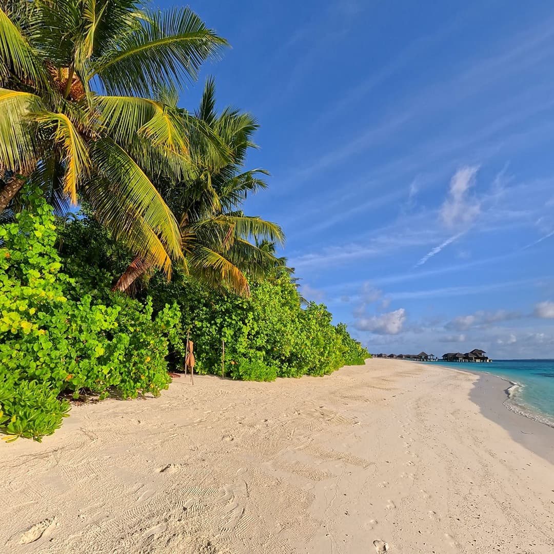 Sunny Beach. VR Relaxation