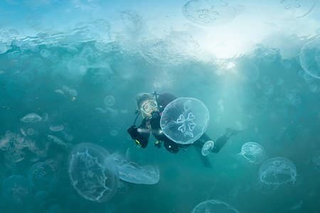 Jellyfish Bay, Raja Ampat, Indonesia