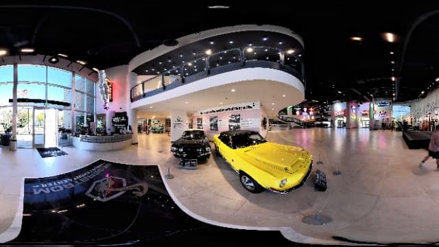 Black and Yellow Ford Shelby